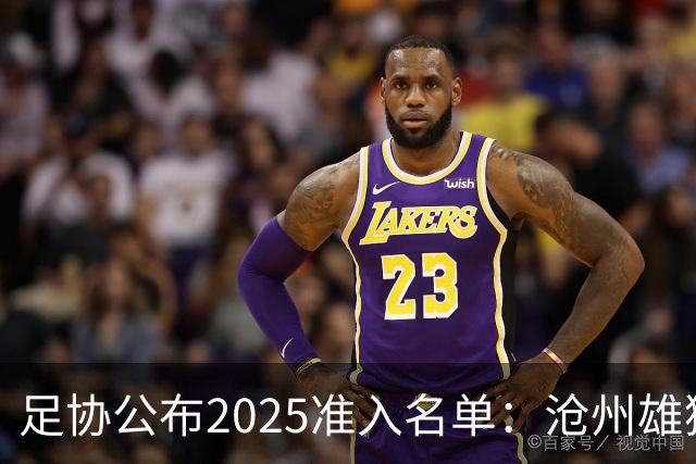 足协公布2025准入名单：沧州雄狮、广州队无缘